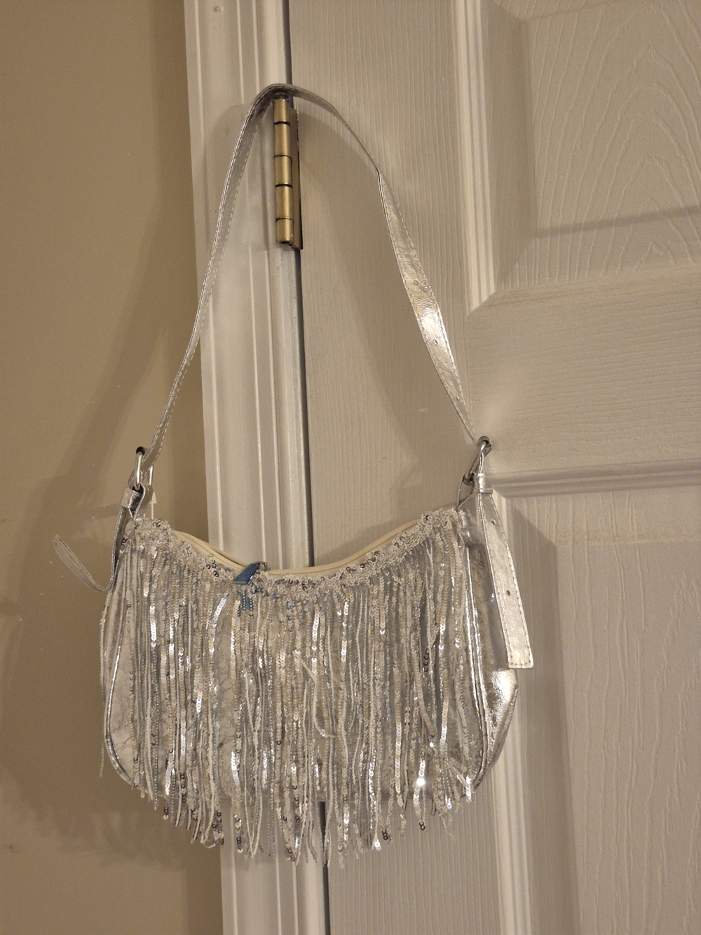 Metallic Silver Fringe Crossbody Bag for Women